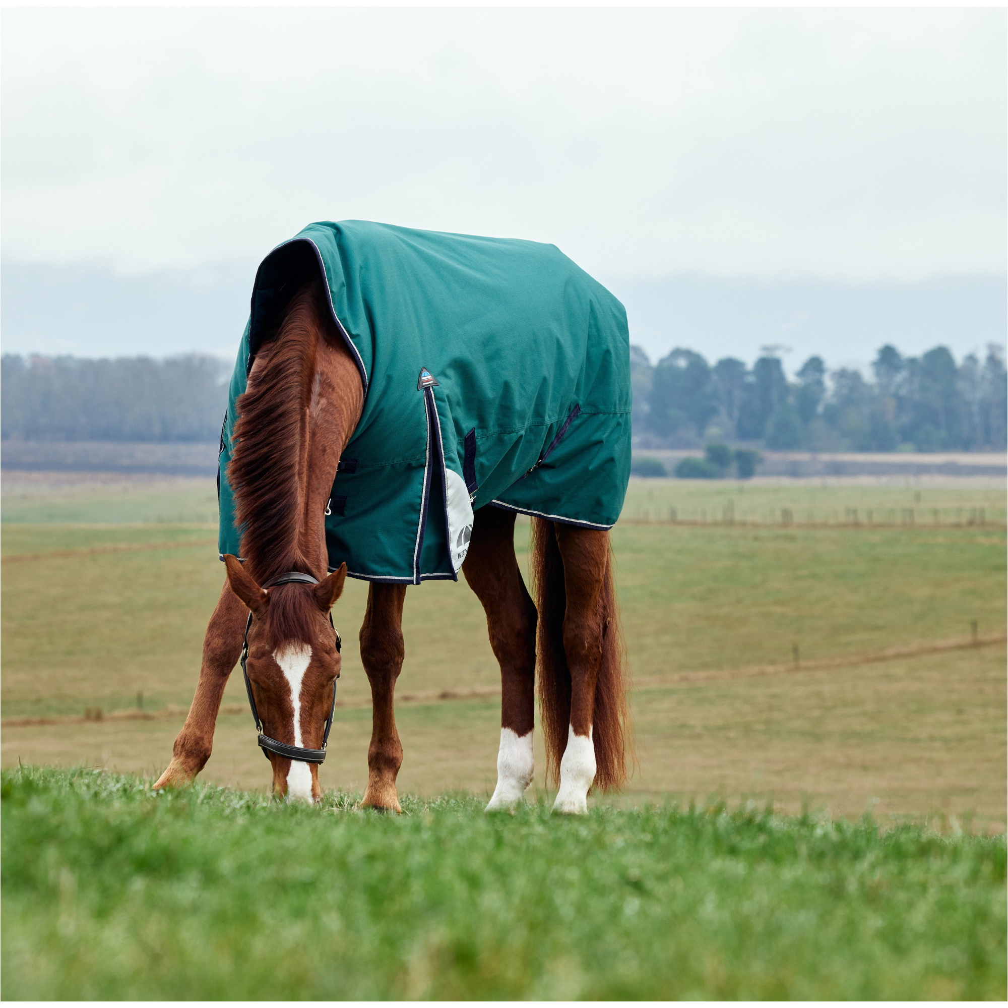 2025 Weatherbeeta Comfitec Plus Dynamic Turnout High Neck 1029006 - Forest Green